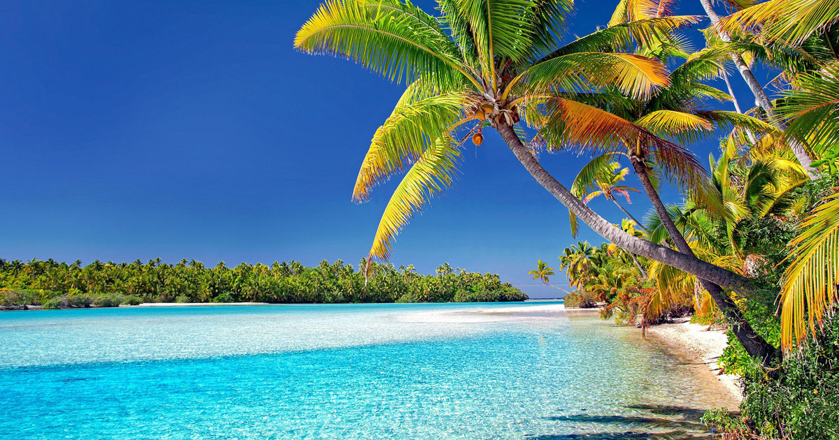 COOK ISLANDS 3 DOLLARS – P 11 – UNC – N U M I S D R A G O N - Foto 8