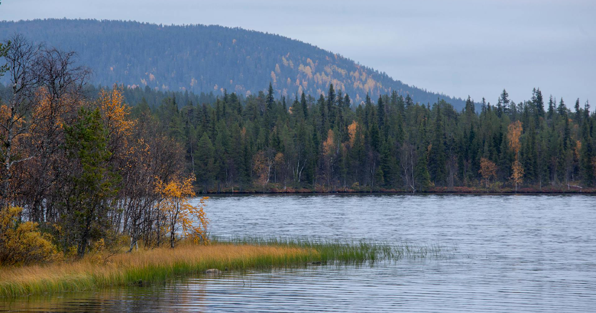Lago Inari, Lapponia: a tu per tu con gli spiriti del Nord - Dimensione ...